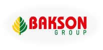 Bakson
